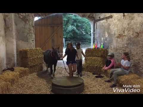 Ponycircus KlippKlapp