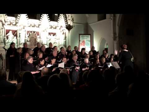 Hardtimes Chorus - Feet Of A Dancer