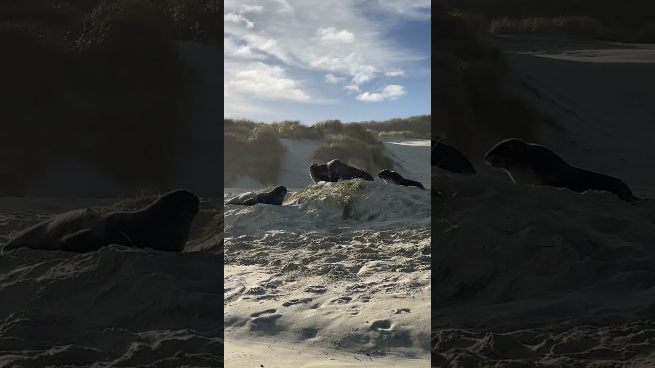 YouTube Short thumbnail