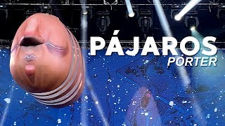 Porter - Pájaros (en vivo - #IndioCatrina2018)