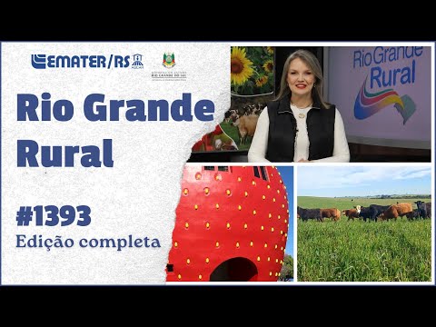 Rio Grande Rural 1393 - 09/14/2025