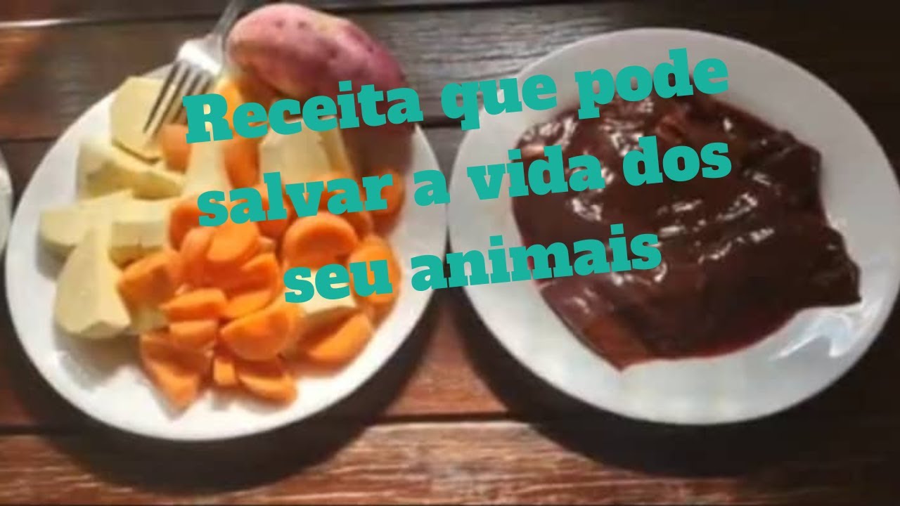 Fígado com Batata doce e Cenoura para Cachorro - Gatos | Pode Salvar a vida do seu animalzinho.