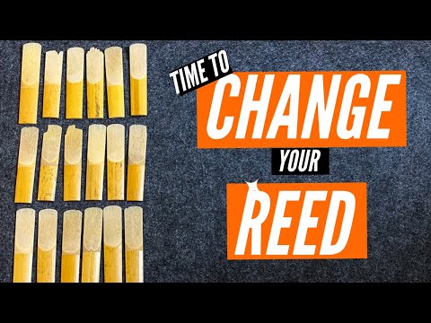 How Often Should You Change A Reed