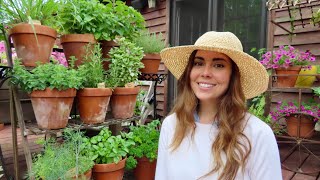 Fertilizing My Container Herb Garden | Growing Herbs in Pots