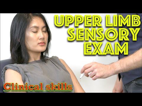 Upper Limb Sensation Examination - Clinical Skills - Dr Gill