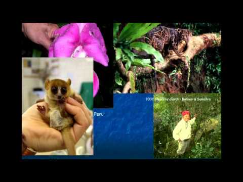 Professor of Systematic Botany John Parnell Delivers Inaugural Lecture - YouTube