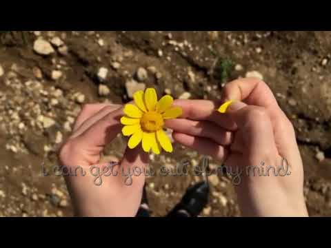 Ecoutez - Are You Really the One (lyrics)