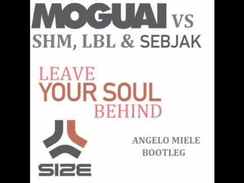 Moguai vs Swedish House Mafia & Laidback Luke - Leave Your Soul Behind (Angelo Miele Bootleg)