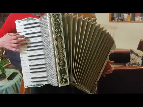 Horner Verdi I 48 bass piano accordion For Sale