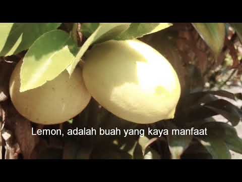 HADANG covid-19 dengan LEMON MADU