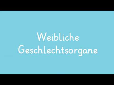 The female genitalia explained simply | sofatutor