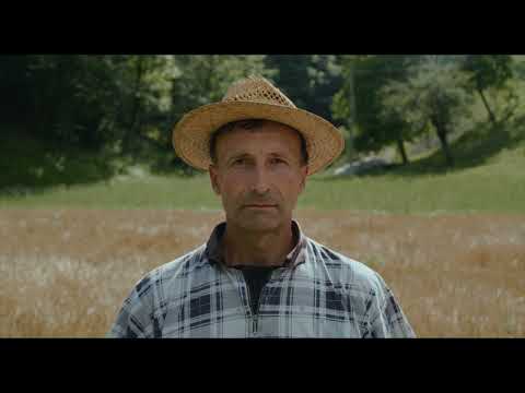 A Tree Grows in My Dreams Every Night trailer