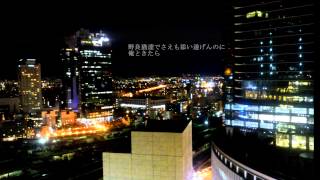 野良猫の侵略 / 岩見 陸