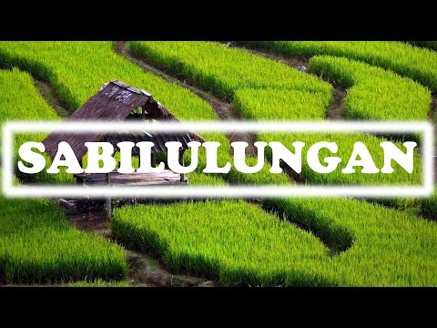 [SABILULUNGAN] SUNDANESE INSTRUMENTALIA | DEGUNG SUNDA | INDONESIAN TRADITIONAL MUSIC