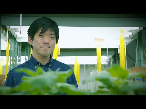 Sensei Theater:"The mystery of the struggle between plants and pathogens"