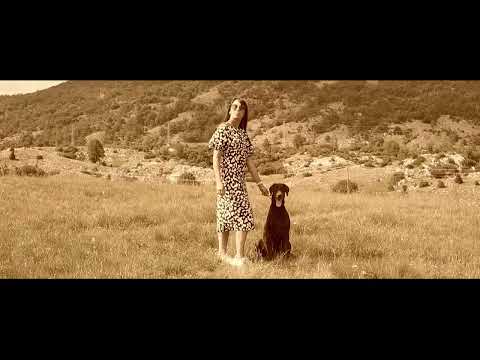 MOJE BALKANSKE FENG SHUI TAJNE