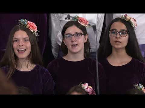 Dynamis: Creațiunea, Brânceni - iun 2022