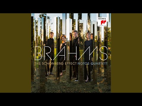 Piano Quartet No. 1 in G Minor, Op. 25: I. Allegro