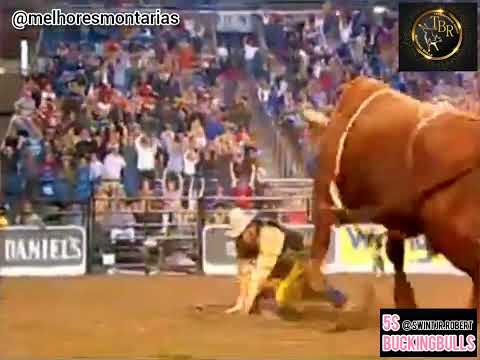 EDNEI CAMINHAS X RED ALERT