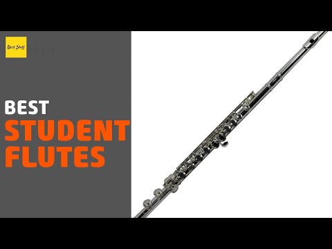 🌵4 Best Student Flutes 2020