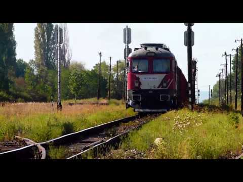 DA 1665 with LSD Freight Train in Vadu Crisului (08 09 2012)