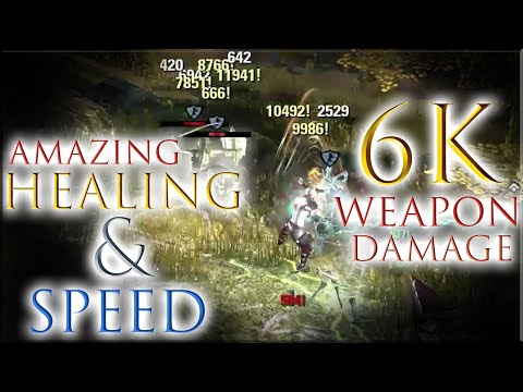 Deadication ☠ Stamina Necromancer PvP Build & Gameplay - ESO - Dragonhold