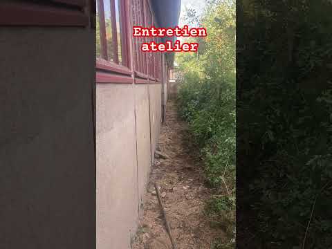 Vega Missyl 935hp, workshop maintenance. #automobile #garage #car #diy #leplaisantin #automotive