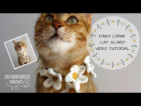 Daisy Chain Cat Scarf - Catventurous Crochet