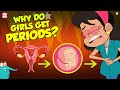 Why Do Girls Get Periods Menstruation The Dr Binocs Show Peekaboo Kidz
