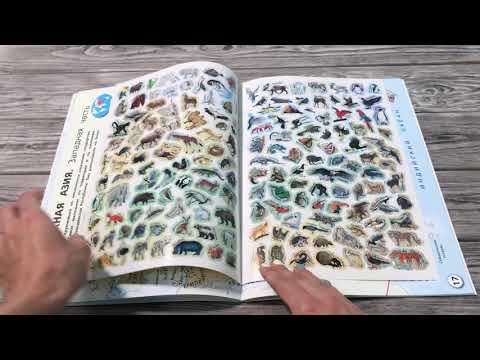 Миниатюра изображения товара Атлас АСТ Мой первый атлас мира с наклейками