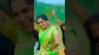 Download lagu CHILAKA PACHA CHEERA KATTI |TELUGU FOLK DJSONG🎵|TELUGU SHORT VIDEO|#ravitejadharamsoth 😍 mp3