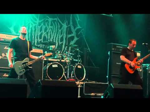Winterfylleth - The Divination of Antiquity (Music Video)