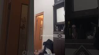 Download lagu Cowok Ganteng Badan Sixpack mp3