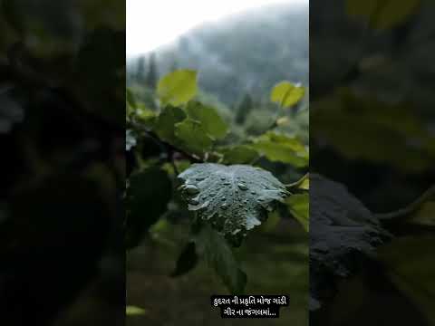 Greenery