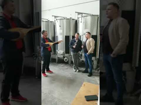 VINKO , MATEJ I SADBO