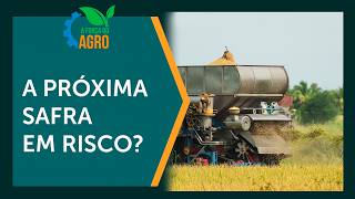 Diesel caro pode frear investimento na próxima safra, alerta consultor | AFA, com Joice Maffezzolli