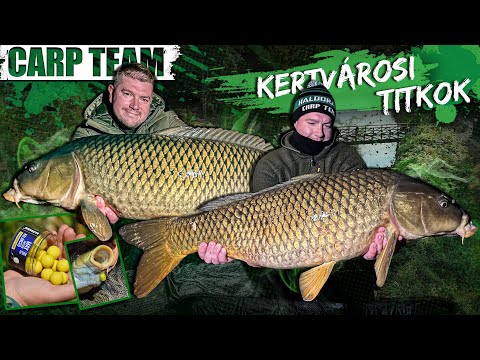 Rokolya Péter - Kertvárosi titkok