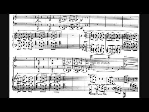 Julius Röntgen - Piano Concerto No. 2