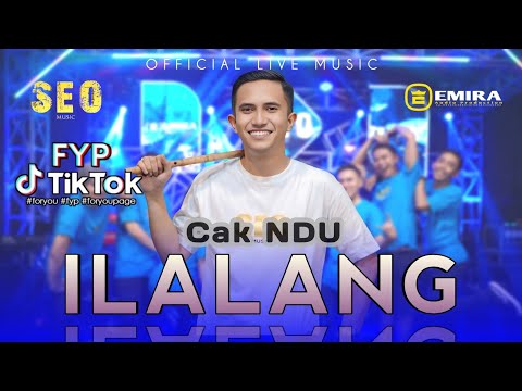 ILALANG CAK NDU [ SEO MUSIC OFFICIAL LIVE ]