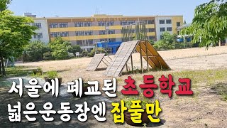 서울에 학교 폐교이유가 '저출산'때문이라는 언론의 충격적 거짓말!