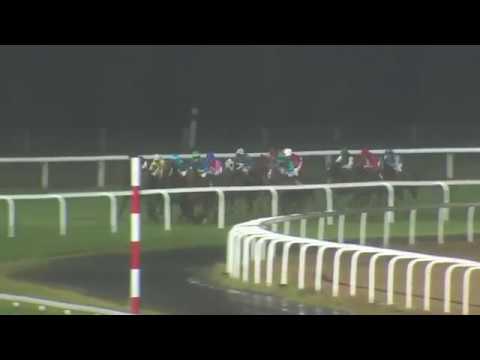 2017.09.22 Breeders' Trophy Classic Consolation (SWE) - Muteki