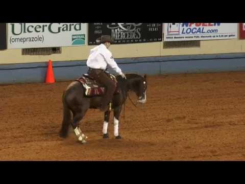 Electric Snow NRHA Futurity Open Final 2014
