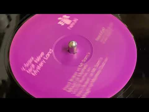 Y-TRAXX FEAT NEVE - MYSTERY LAND (FRED BAKER VS MR SAMS MAGICAL MYSTERY DUB)