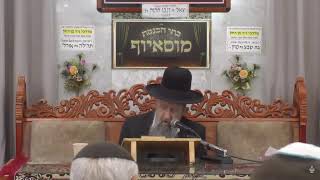 הרב בן ציון מוצפי • בעשרה מאמרות נברא העולם פרקי אבות פרק ה • אייר תשפ"ו