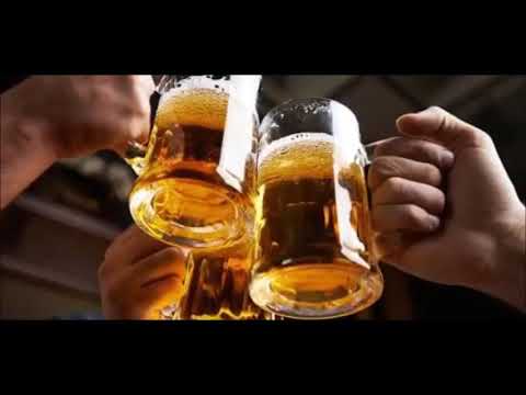 gigi und die braunen Stadtmusikanten was wollen wir singen