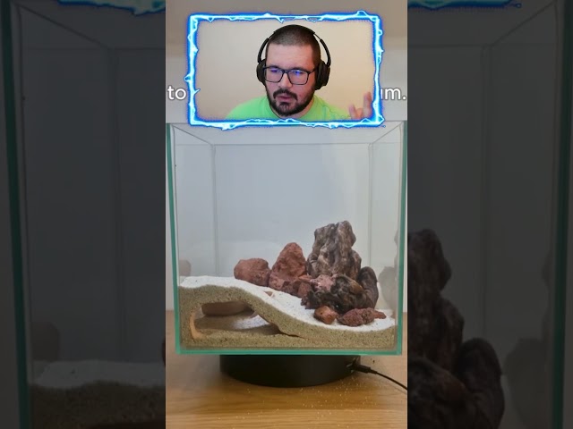 Vídeo relacionado con Genérico Cueva del del Acuario - De Impresión 3D De 6,10 Pulgadas | Camarón De Un Solo Orificio De 45 G De Resina Impresa En 3D, Refugio Decorativo Duradero para Escondite De Cuevas, Reduce El Estr