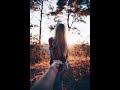 Teri Sanso Me Aise Bas Jau Lyrics Whatsapp Status Tumse Hai Din Mere Whatsapp Status