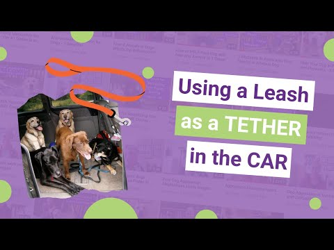 YouTube video about: How to secure dog in car with leash?