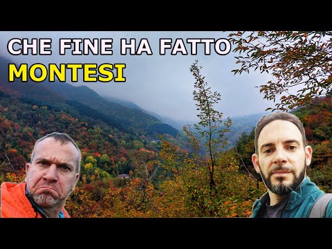 Che fine ha fatto Matteo Montesi?