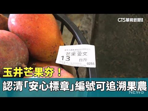 玉井芒果夯！　認清「安心標章」編號可追溯果農